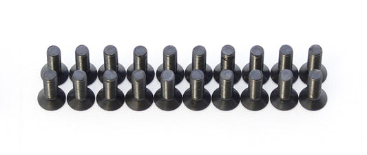 M3 x 10mm Flat Head Screws (20)