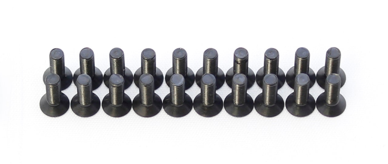 M3 x 10mm Flat Head Screws (20)